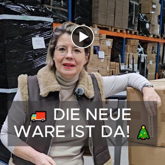 Sammlerstücke & Nostalgie: Die neuen Modelle der Minium Collection sind da - Schneekugelhaus